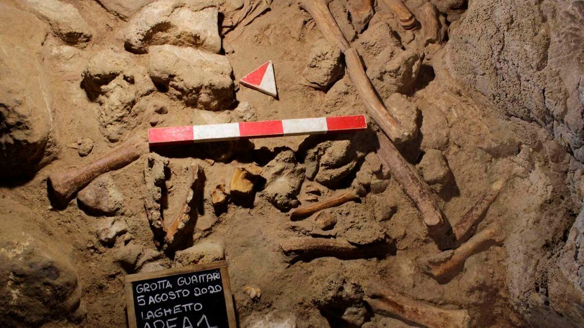 This image released by the Italian Culture Ministry shows a cave near Rome where fossil...