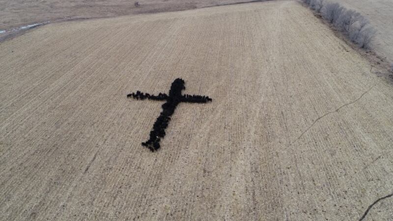 Photo courtesy: Gene Hanson