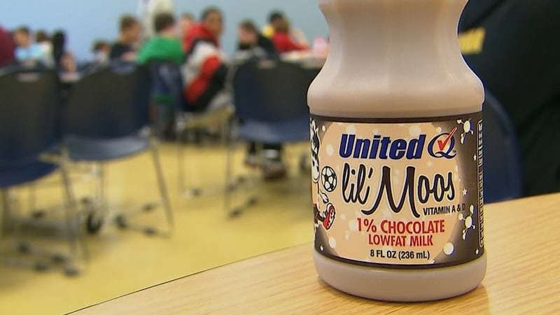 FILE - Chocolate milk may soon be banned in schools, according to a report.