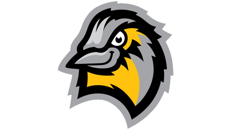 Larks Logo
