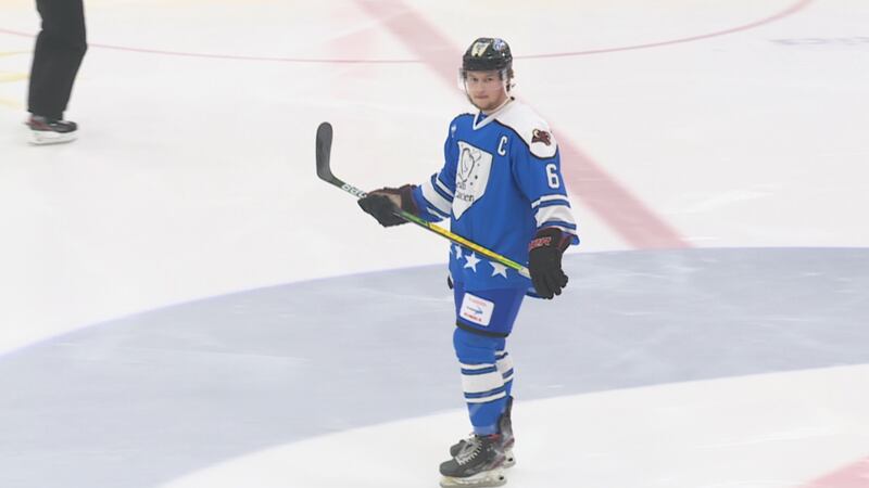 Minot Minotauros