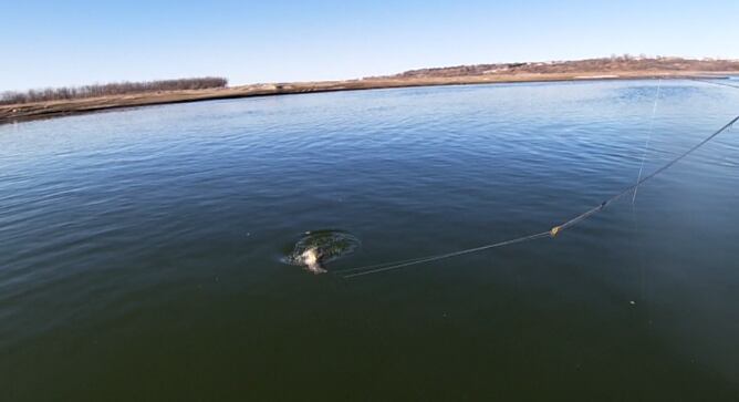 North Dakota fisheries seeing strong spring numbers - Vimarsana News