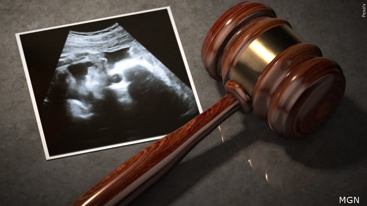 Abortion rights initiatives make the ballot in South Dakota and Colorado - Vimarsana News